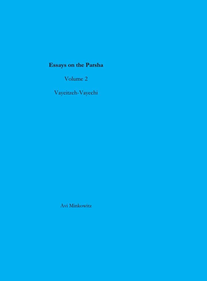 Essays on the Parsha, Volume 2: Vayeitzei – Vayechi